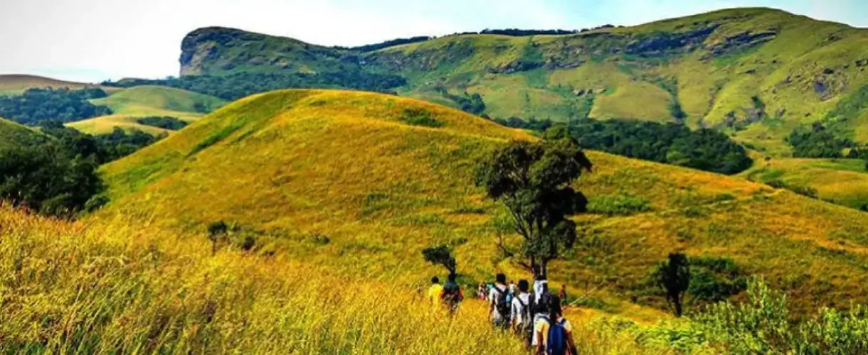 Kudremukh trekking near Chikmagalur